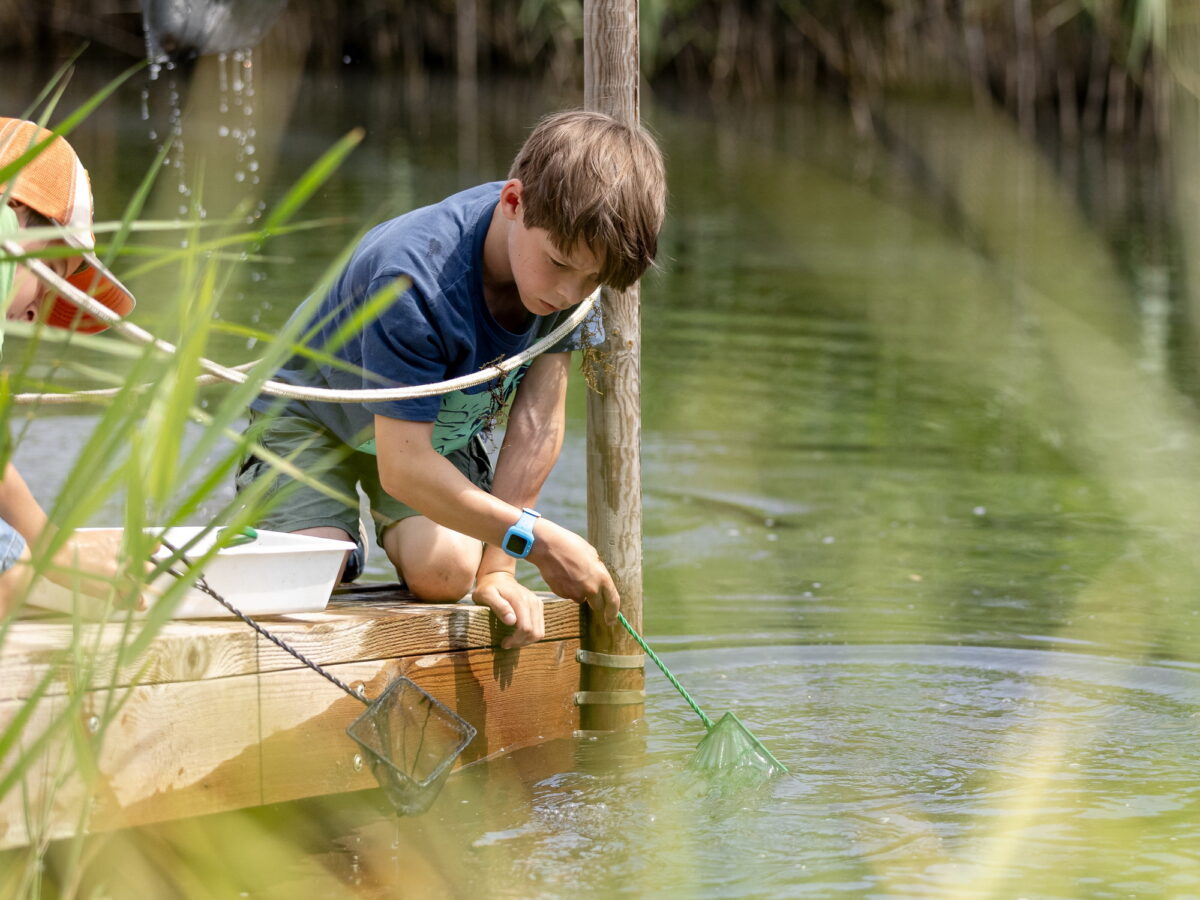 Foto Am Teich Sommerfest 2024