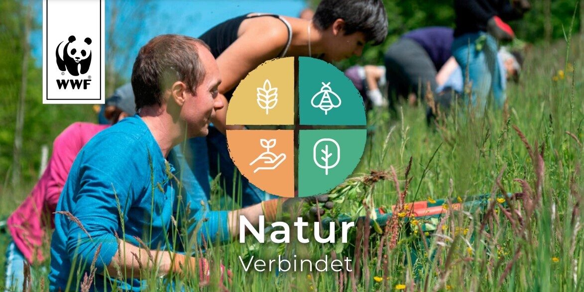 Natur verbindet