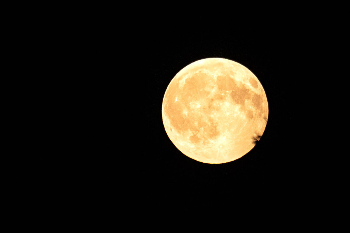 Abendführung Vollmond spät Foto Slezak 9608